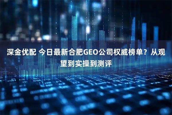 深金优配 今日最新合肥GEO公司权威榜单？从观望到实操到测评