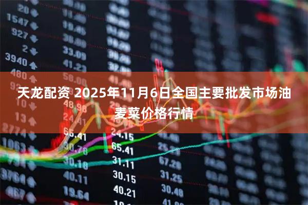 天龙配资 2025年11月6日全国主要批发市场油麦菜价格行情